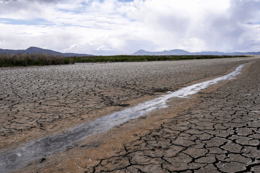 How can it save the world from increasing droughts? 